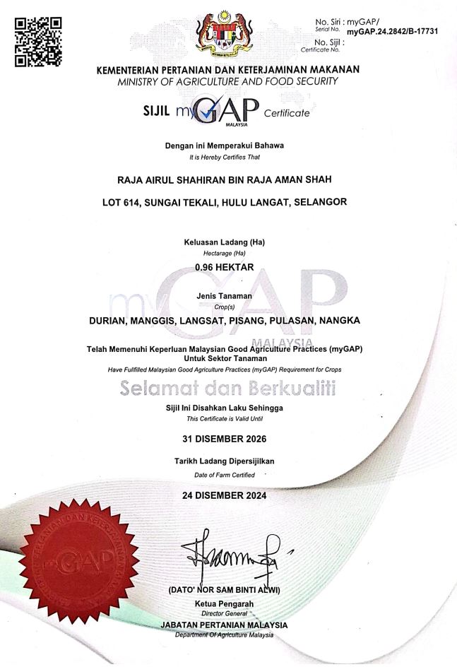 Certificate 1